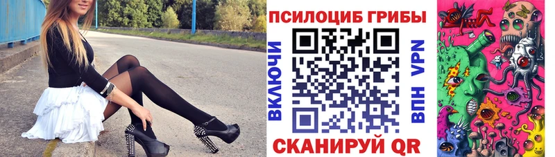 что такое   Курильск  Псилоцибиновые грибы Psilocybine cubensis 