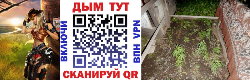 Конопля VHQ  Курильск 